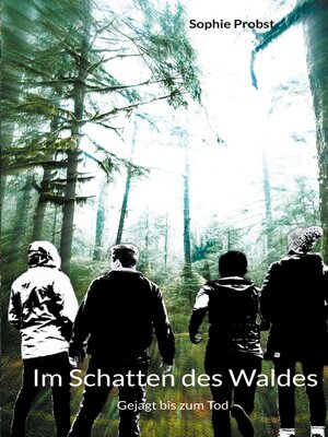 cover image of Im Schatten des Waldes